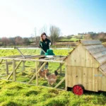 Dorset Ranger Ten Chicken Coop - Image 2