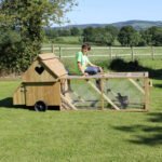Dorset Ranger Six Chicken Coop