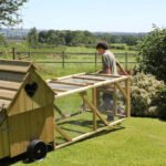 Dorset Ranger Six Chicken Coop - Image 11