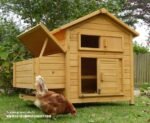 Devon Hen House