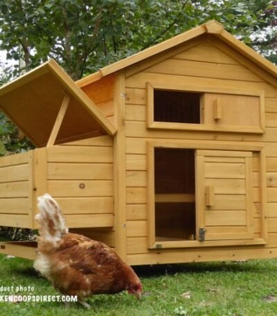 Devon Hen House