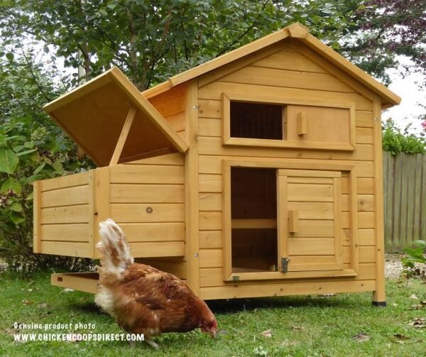 Devon Hen House