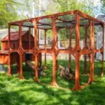 Brahma Chicken Run Extension - Image 10