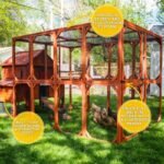 Brahma Chicken Run Extension - Image 3