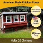 XL Chicken Coop - Up to 20 Chickens - Image 6