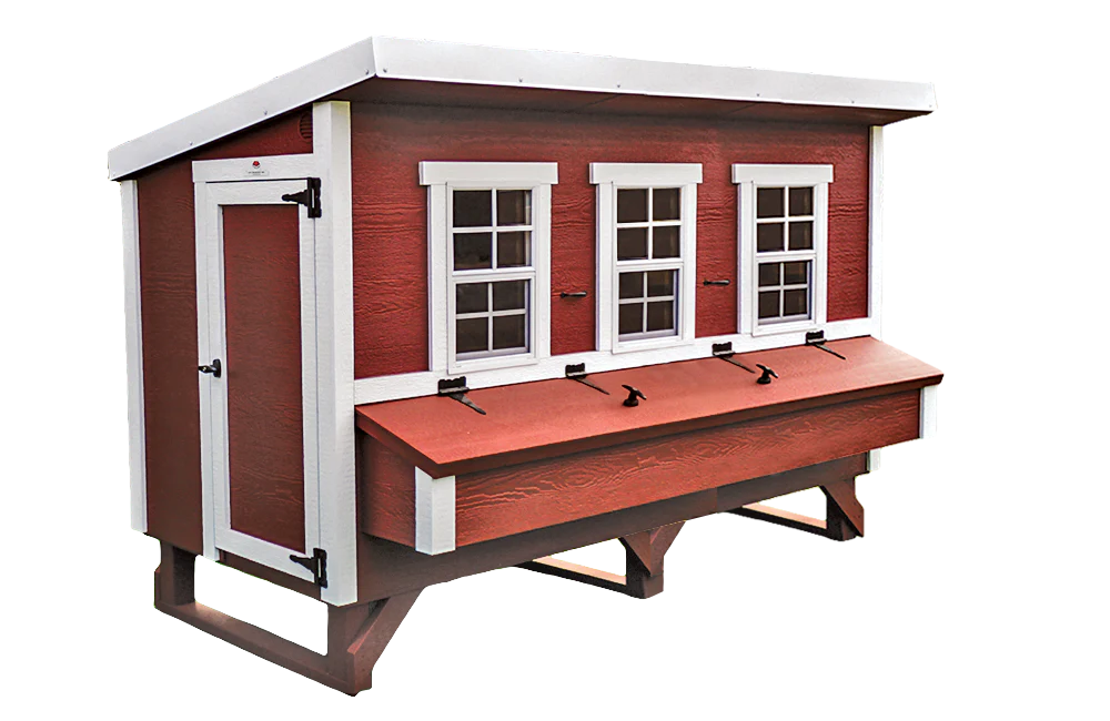 imgi_65_coop-xl-updated-brighter_24dad84a-d363-4c59-a386-91b321fecbda XL Chicken Coop