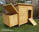Kent Chicken Coop
