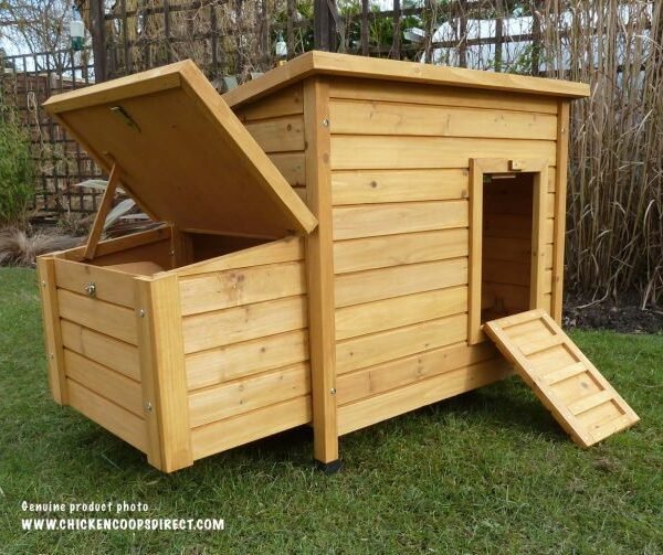 Kent Chicken Coop