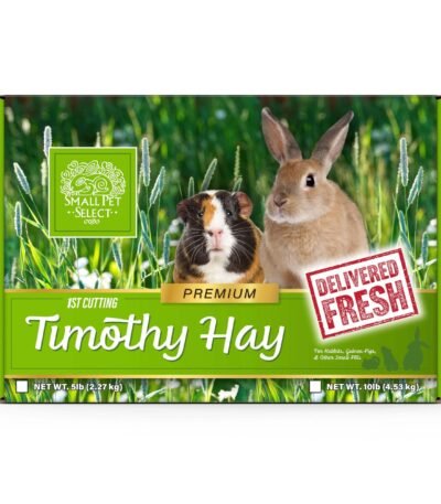 1st Cutting Timothy Hay