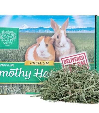 2nd Cutting Timothy Hay