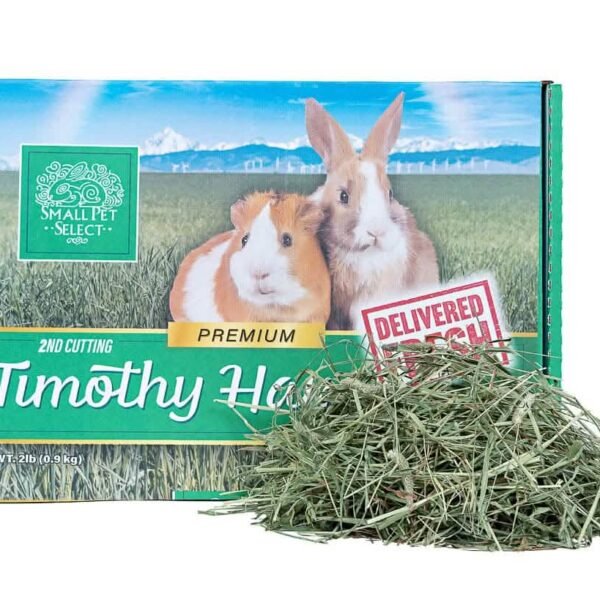 2nd Cutting Timothy Hay