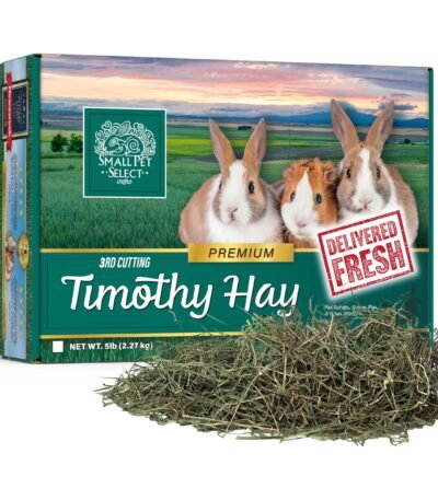 3rd Cutting Timothy Hay