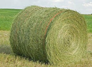 Hay Round Bale UK
