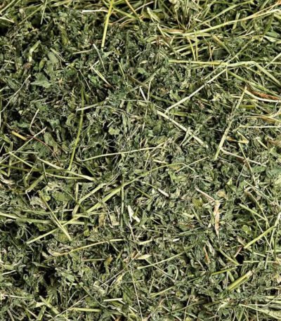 Buy Alfalfa Hay