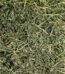 Buy Alfalfa Hay