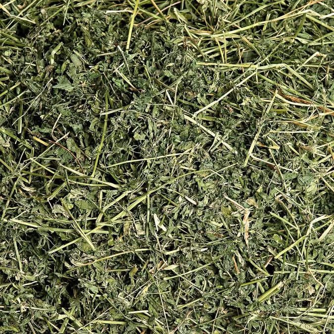 Buy Alfalfa Hay