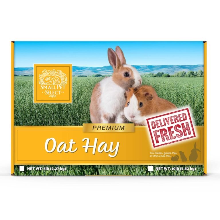 buy Oat Hay
